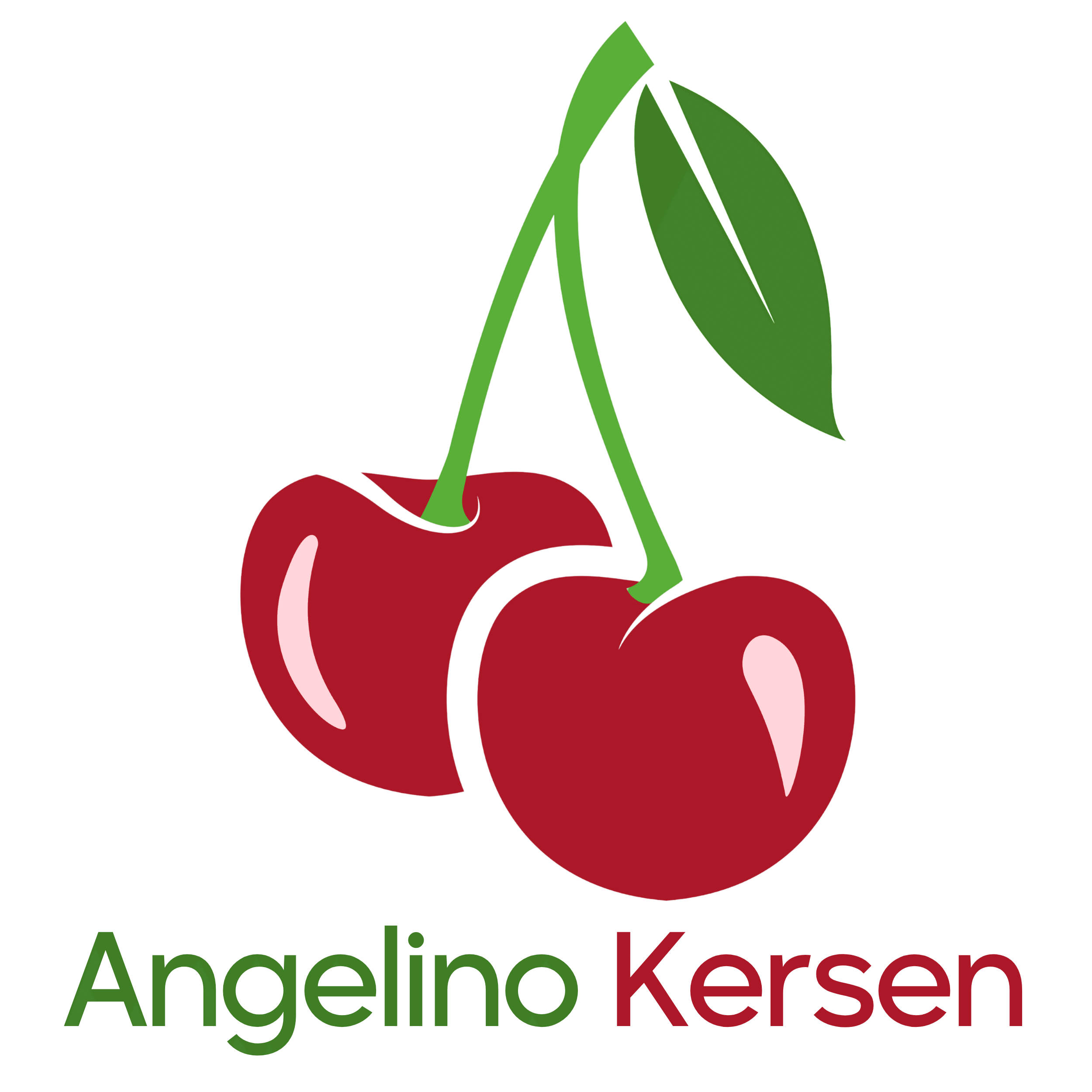 De lekkerste kersen uit Ochten komen bij Angelino Kersen vandaan